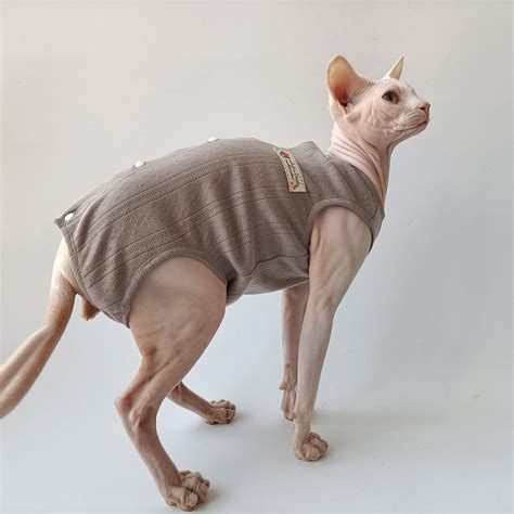 hairless cat t shirt|sphynx cat clothes shop.